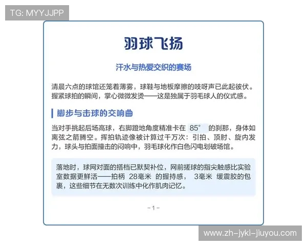 羽毛球高球技术解析与应用策略探讨